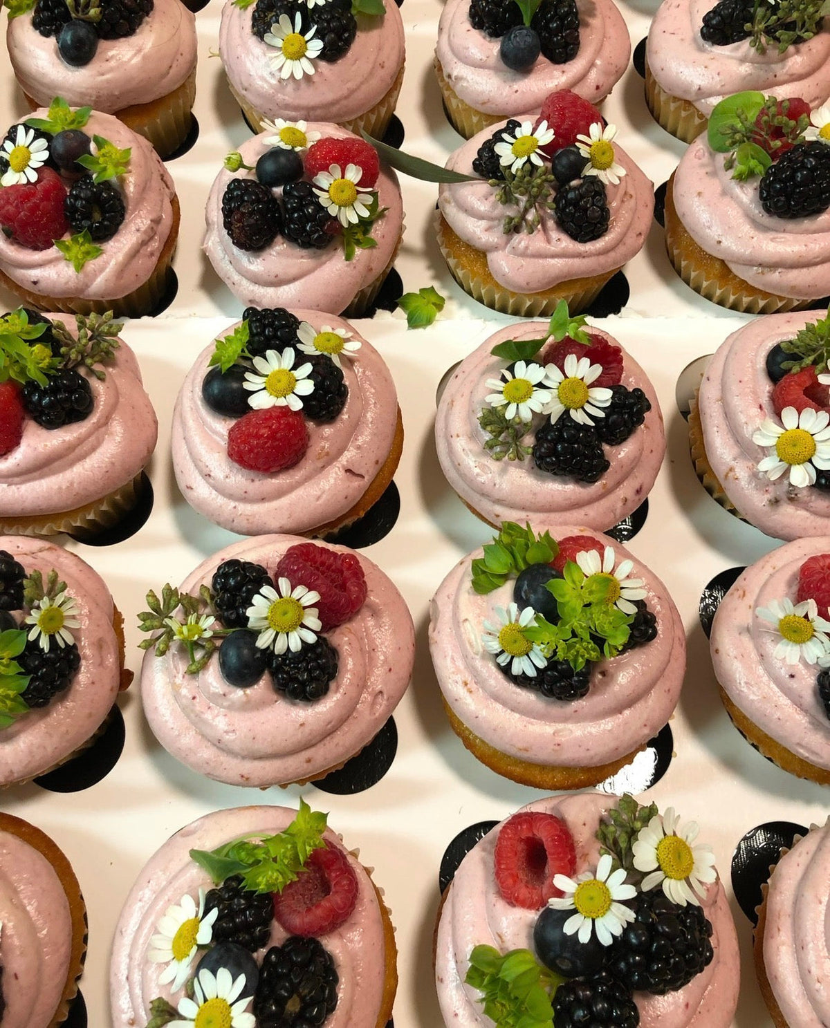 Coconut w/ Lime cupcakes by Criminal Baking Company